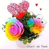 【高級プリザーブドフラワー】レインボーローズ　レインボーカーネーション　プリザーブドフラワーハートギフト 誕生日 母の日 結婚記念日　結婚祝い　卒業祝い　プレゼント