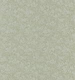 Brewster 149-63815 Dorato Sage Texture Wallpaper [並行輸入品]