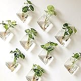 (サンライン)Sun Line ガラスハンギング花瓶 ボトル 四辺形　植物ポット 観葉植物 花瓶 インテリア 　装飾