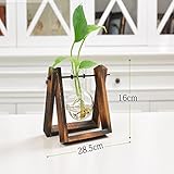Liebeye 植木鉢 水耕植物 水耕栽培 フラスコ型 ガラス 花瓶 植物 花鉢 容器 置物 インテリア DIY おしゃれ 一つタイプ