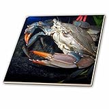 ジャッキー・Popp Nature N Wildlife animals – Crab – タイル 12-Inch-Ceramic ct_20071_4