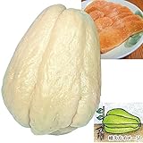 国華園　有用植物　ハヤトウリ　白実　2個【※発送が国華園からの場合のみ正規品です】