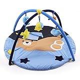 Homehalo ベビージム　可愛い熊　ふわふわ　プレイマット　赤ちゃんのおもちゃ　面白い寝具　知育遊具 インテリア　出産祝い ベビー室内遊具　大きいサイズ　男女兼用 (ブルー)