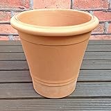 植木鉢 イタリア製 コロラドポット (17cm) バラやクレマチスに テラコッタ 陶器鉢 素焼き鉢 *Italian Terracotta* デローマ製 ホワイト おしゃれ ロング鉢 園芸 ガーデニン