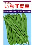 いちずいんげん カネコのつるありインゲン種です