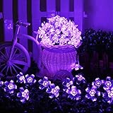 Rush.C イルミネーション LEDライト ソーラーパネル搭載 カラフル 電球色 パープル 【Rush.Cオリジナルハンカチセット】 425 (パープル)