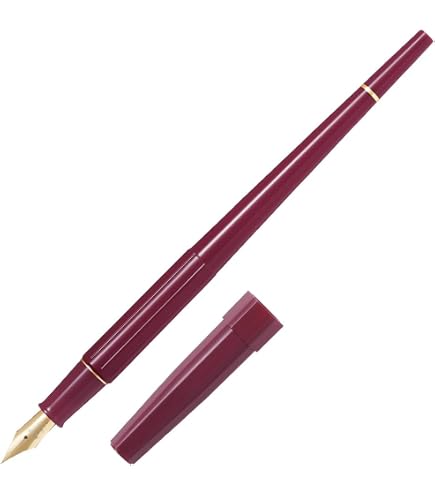 新品 廃盤 パイロット デスクペン 万年筆 レッド EF ４点セット Amazon | PILOT 万年筆 デスクペン EF(極細字） レッド 黒 PDPP70REF