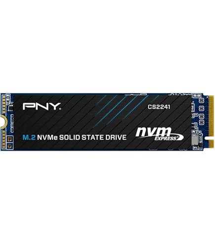 Patriot P300 M.2 PCIe Gen 3 x4 1TB SSD- P300P1TBM28 : Amazon.sg