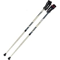 SINANO(シナノ) レビータLaくっしょん ウォーキング ポール ポール (652075) 51Wecl16gPL._AC_UL210_SR210,