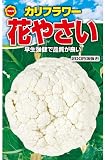 アタリヤ農園 ガーデニング用品 種 花やさいカリフラワー