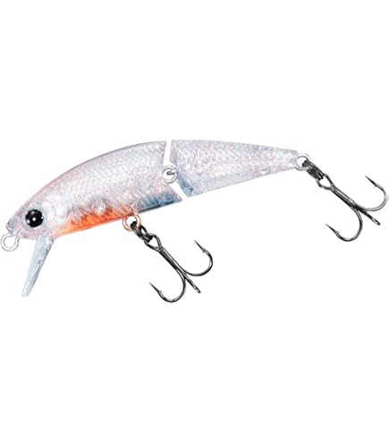 Amazon.co.jp: Daiwa ダイワ Silver Creek シルバークリークS 536T