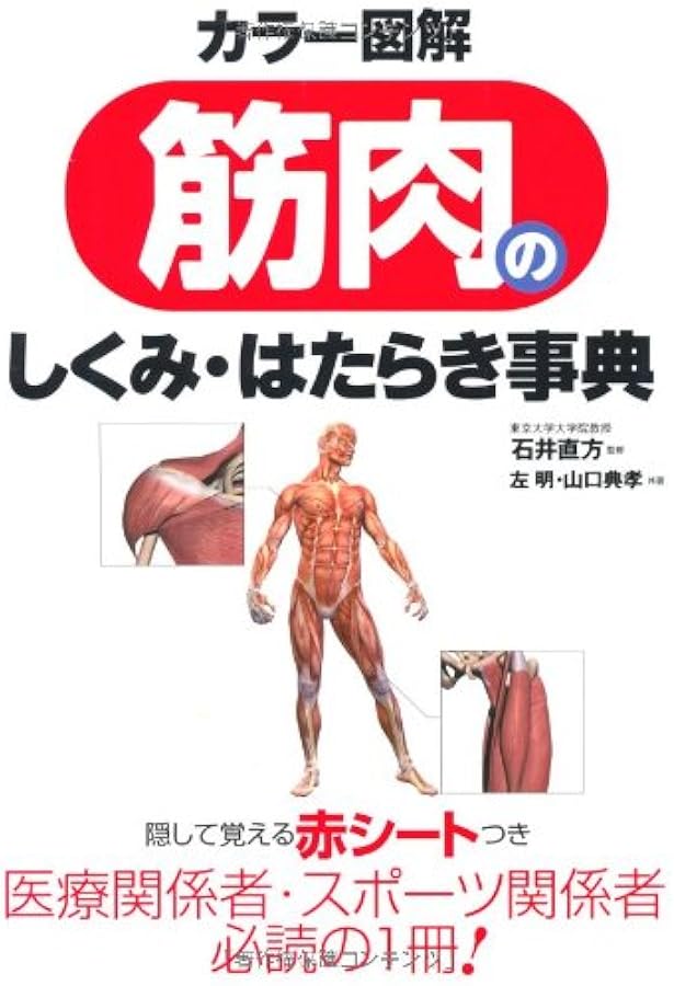 Amazon.co.jp: 動作でわかる筋肉の基本としくみ : 山口 典孝, 左 明