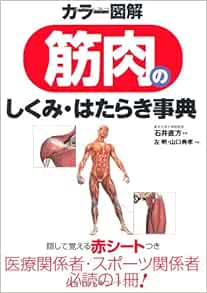 カラー図解 筋肉のしくみ はたらき事典 左 明 山口 典孝 石井 直方 本 通販 Amazon