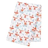 トレンドラボ冬ムースジャンボデラックスフランネル押さえつけるブランケット