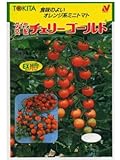 チェリーゴールド　トキタのミニトマト種です