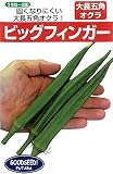 フタバ種苗 【うちな~交配】 オクラ ビッグフィンガー 種・小袋詰(10ml)