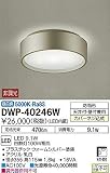 DWP-40246W 大光電機 玄関灯 丸タイプ