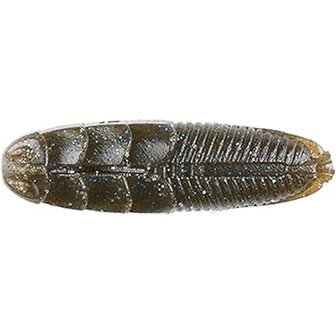 Amazon.co.jp 最新リリース: ワーム の新着ランキングです。