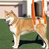 犬用介護ハーネス 犬 補助ハーネス 犬歩行補助ハーネス 介助 散歩 歩行補助 老犬 ハーネス 後ろ足 犬ハーネス 散歩 歩行サポート 安定性 小型犬 関節 サポート 中型犬 抜けない リード 介護用品 L