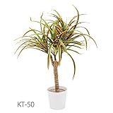 人口観葉植物　コンシンネ ポット付き (ポット：直径10cm×高さ9cm　全長40cm）