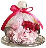 TEATSIGHT プリザーブドフラワー (ピンク×ピンク) クリアケース入り