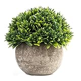 Kooyi 光触媒 インテリア グリーン フェイクグリーン 人工観葉植物 鉢植え (多層花, グリーン)