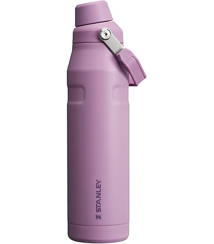 Amazon.co.jp: Stanley (スタンレー) オールデイ スリムボトル 34