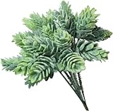 TomYumKung 6" Capensia Bush, Artificial Plant
