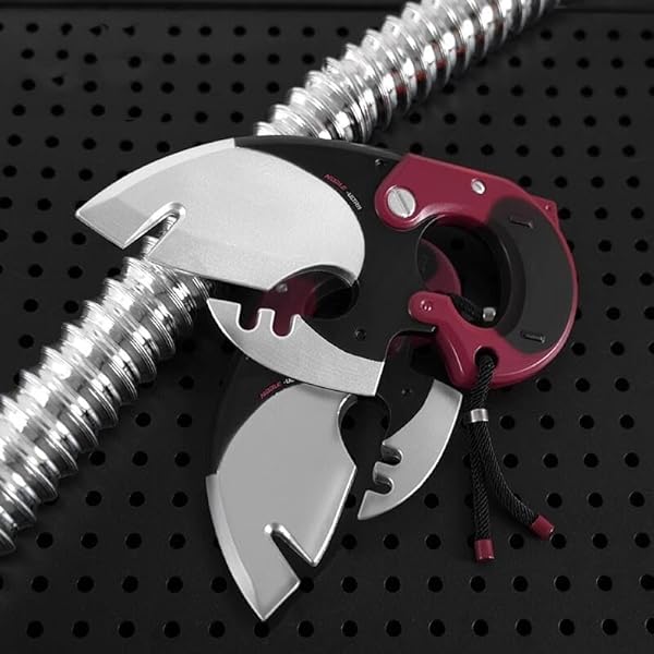 Amazon.co.jp: [Garbha] [AOIZORA] ゼンレスゾーンゼロ アンビー