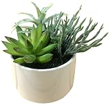 光触媒 多肉植物 観葉植物 インテリアグリーン 造花 MP-104