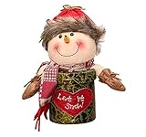美しいクリスマスのギフト特別なクリスマスキャンディジャー