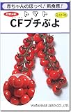 ミニトマト 種子 ＣＦプチぷよ 10粒 プチプヨ とまと