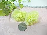 プリザ　ミニカーネーション フッレッシュグリーン