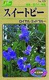 カネコ種苗 草花タネ129 スイートピー ロイヤル ミッドブルー 10袋セット