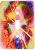 3dRose lsp_164883_1 Colorful Abstract Starburst Universe Fractal Art Light Switch Cover
