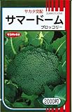 サカタのタネ　ブロッコリー　サマードーム　約2000粒