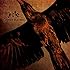 Copper Ravens