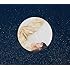 あいみょん「満月の夜なら」