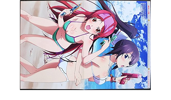 インフィニットストラトス ピンナップポスター 五反田蘭 篠ノ之箒 Is ビキニ水着アニメb アニメ 萌えグッズ 通販 Amazon