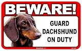 BEWARE！DACHSHUND ラミネートサイン：ダックスフンド 注意 警戒中 Made in U.S.A [並行輸入品]