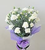 お供え用 カーネーション鉢花 白 5号