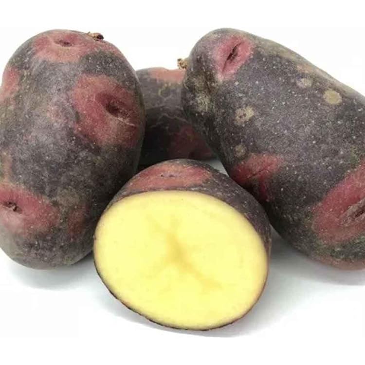 Amazon.co.jp: 北海道剣淵産 デストロイヤー（M～L混）5Kg 北海道産