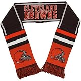 2013 NFLフットボールチームロゴWordmark Scarf