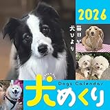 Dogs Calendar 犬めくり2026: 毎日が犬びより ([カレンダー])