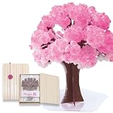 マジック桜 プレミアム 12時間で咲く不思議な桜