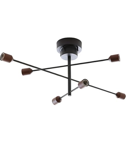 Amazon.co.jp : VENUS LIGHTING シーリングライト (洋風