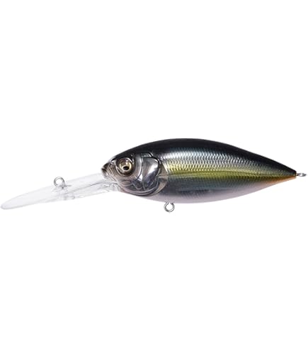 Amazon.co.jp: メガバス(Megabass) ルアー DERBY-X Basic Noisy