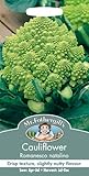 MFVE 英国ミスターフォザーギルズシード Cauliflower Romanesco natalino カリフラワー・ロマネスコ・ナタリノ