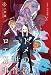 ロード・エルメロイII世の事件簿 9 「case.冠位決議(中)」 (TYPE-MOON BOOKS)