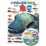 DVD付 新版 魚 (小学館の図鑑 NEO)